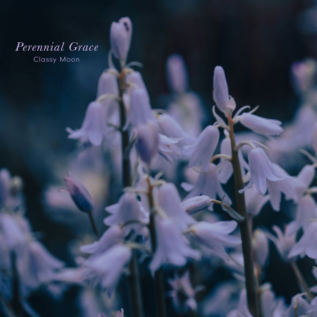 「ABEMA」、2月21日(金)よる10時より放送する『ダマってられない女たち』第10話に先駆けて、新川優愛、ゆうちゃみらゲストのスタジオの様子を公開!