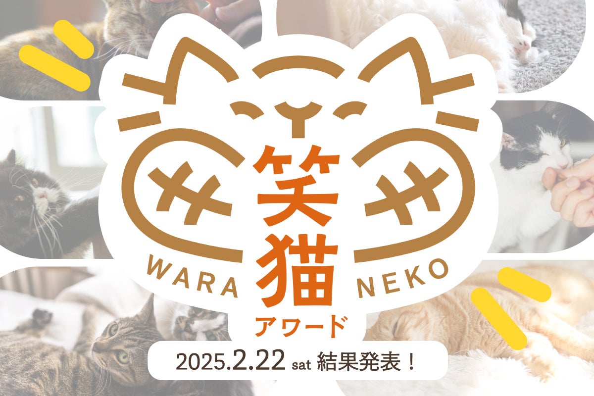 TikTok人気のアーティスト・ペルピンズ、男性向けスタイリングブランド「マトメージュオム」のアンバサダーに就任!CMソングも公開!