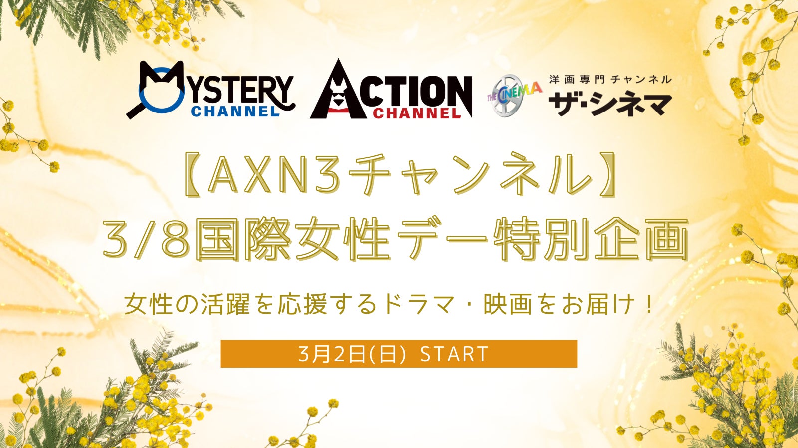 NTTドコモ・スタジオ&ライブ『AI 25th best tour ←ALIVE→』に参画決定