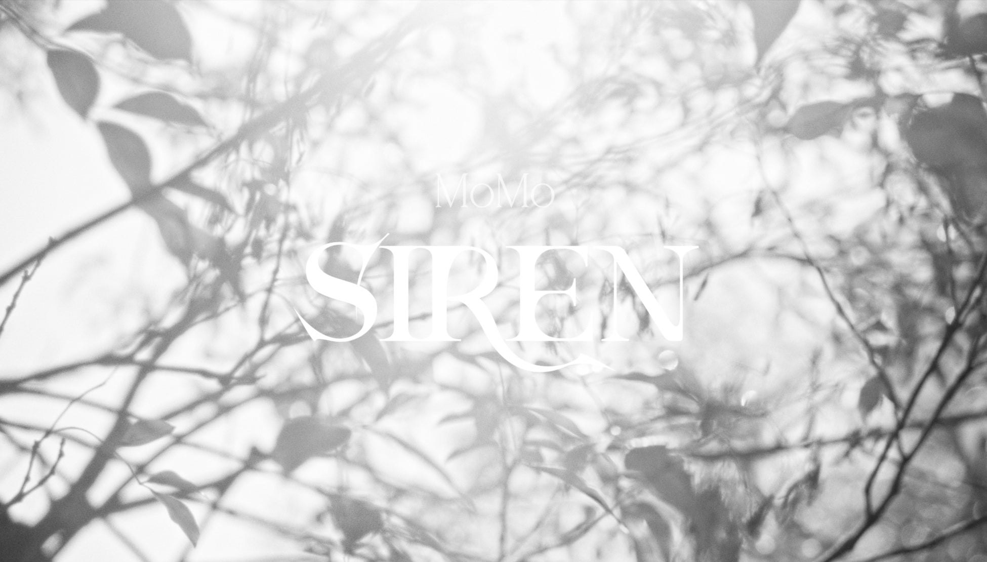 第3回「のと復興音楽ツアー」石川県珠洲市は、珠洲市珠洲市音楽文化協会と共催で実施