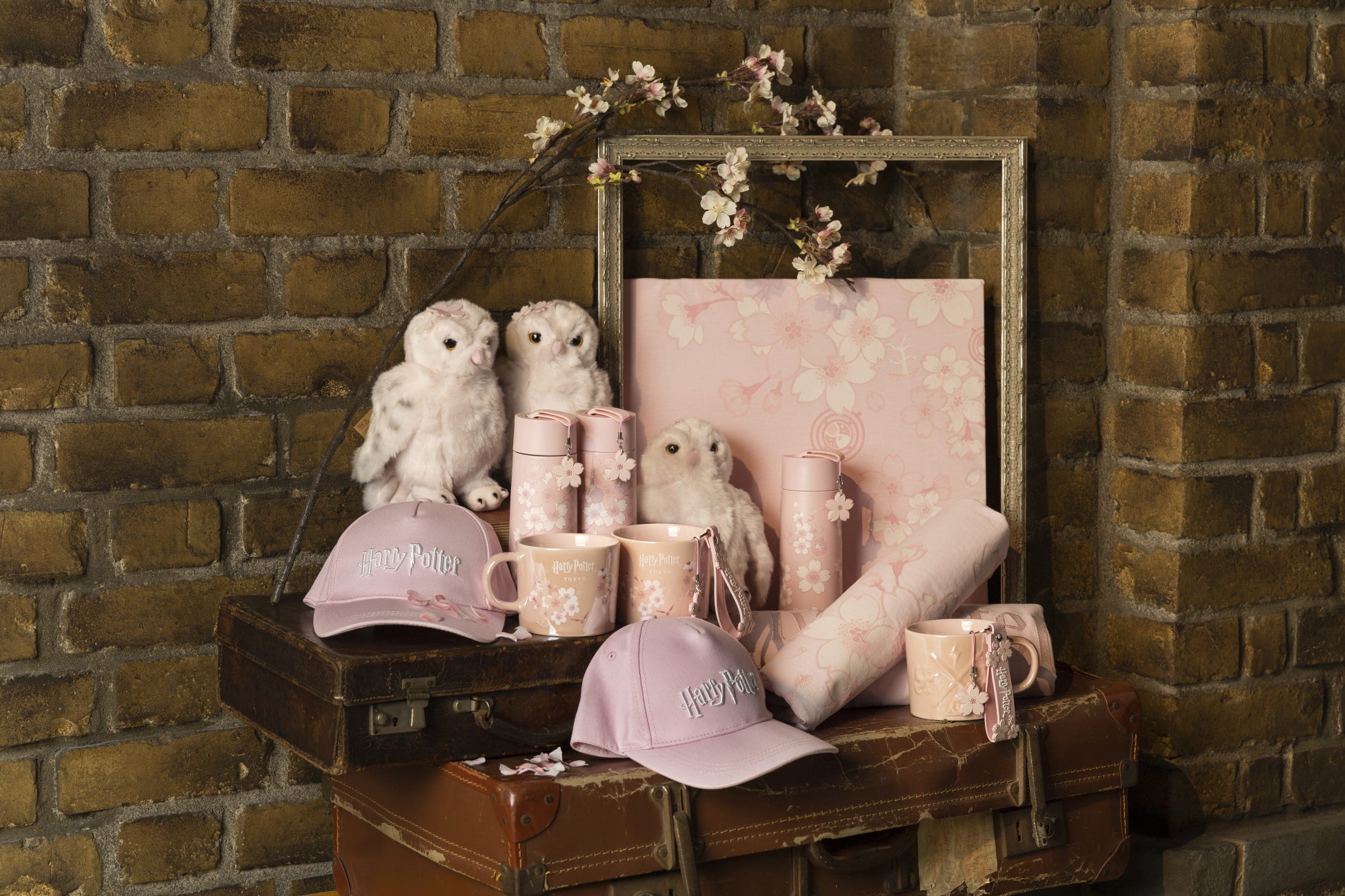 日本クラシック音楽コンクール最高位受賞！菅井瑛斗チェロリサイタルが今夏開催決定！(大阪・東京）