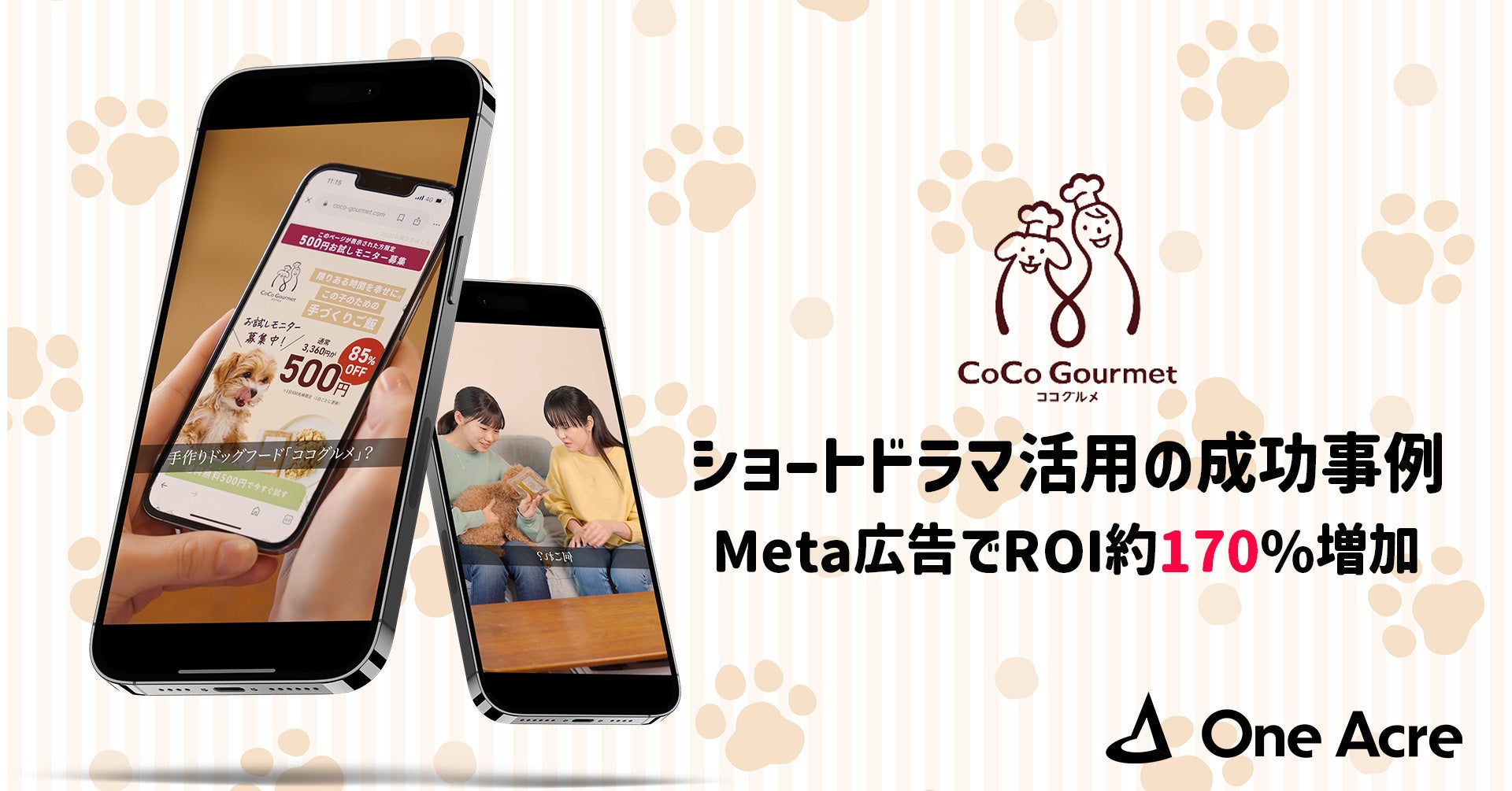 【TGC 熊本 2025】中条あやみ出演決定!さらに安斉星来、HITOMI(SAY MY NAME)ら豪華ゲストモデルに加えて、メインアーティストに…&TEAMが追加決定!MCにはウエンツ瑛士が就任。