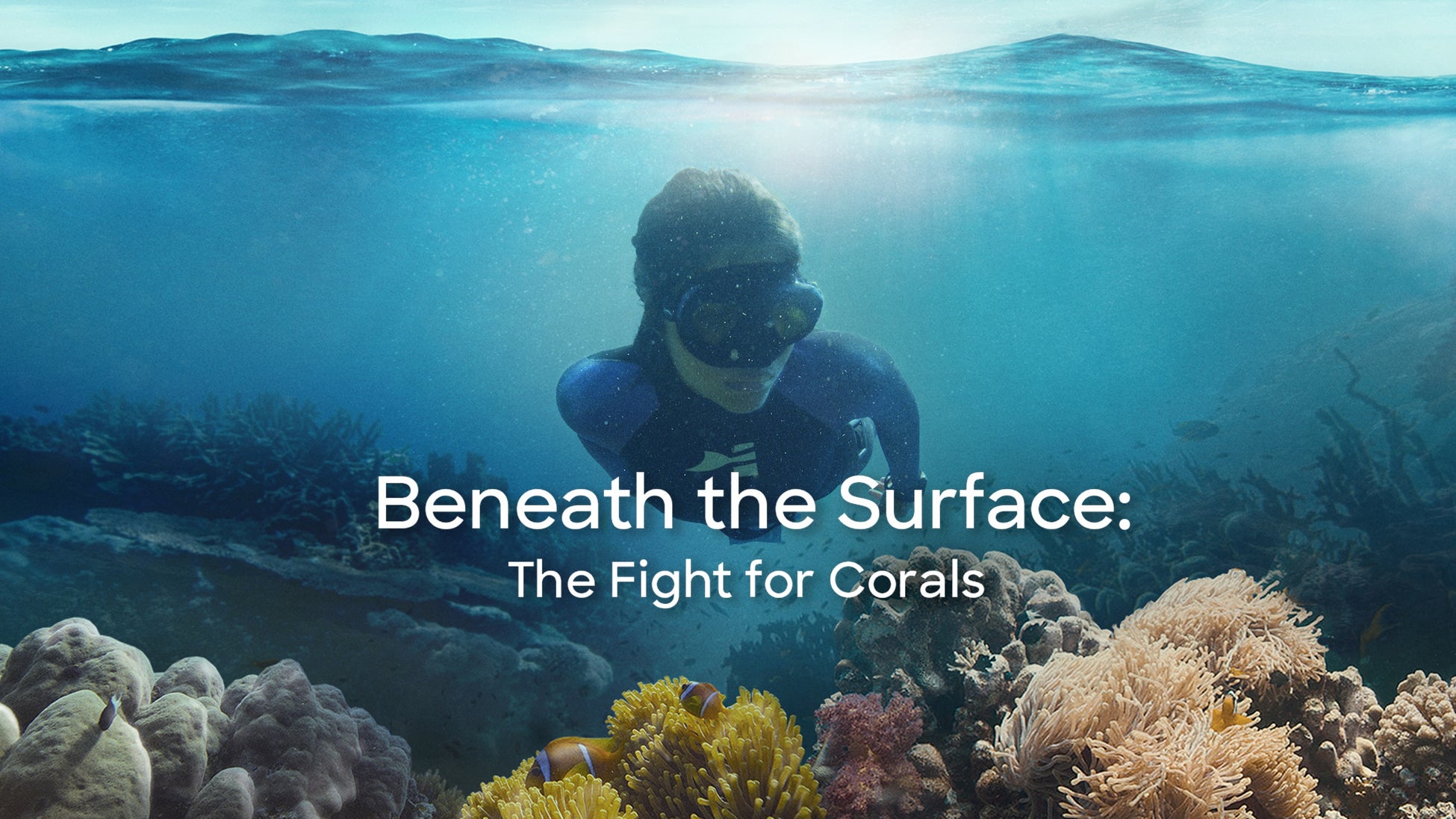 農業が“食”を、音楽が“心”を支える、未来へ芽吹く音楽の力。スプラウト・プロデューサー“よりこ”が仕掛ける未来への種まきフェス「SPROUT FES」、5/17 THE FARMで開催