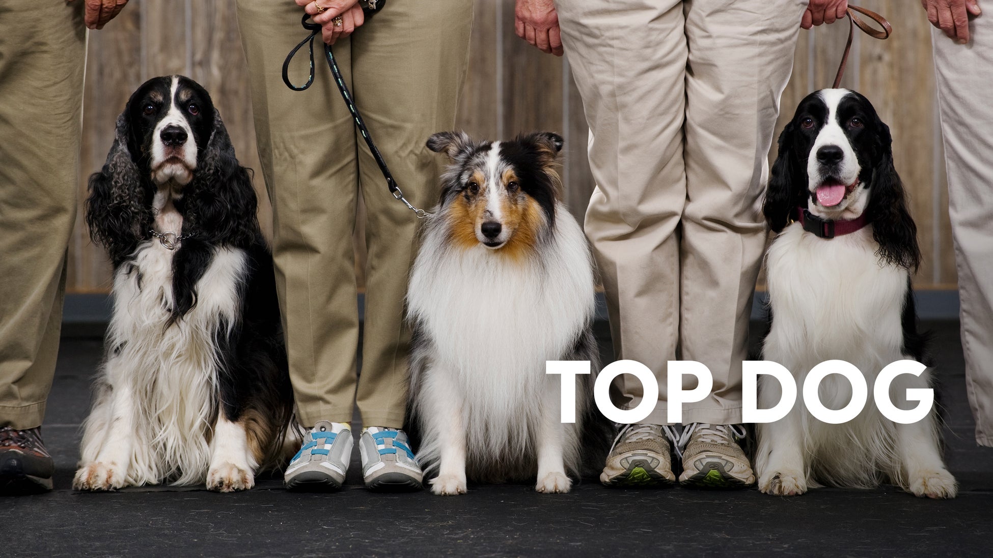 日向坂46、最後の一期生・高瀬愛奈の卒業セレモニーを開催する『13th Single ひなた坂46 LIVE』最終公演を、2025年5月1日（木）18時30分より「ABEMA PPV」にて生放送決定