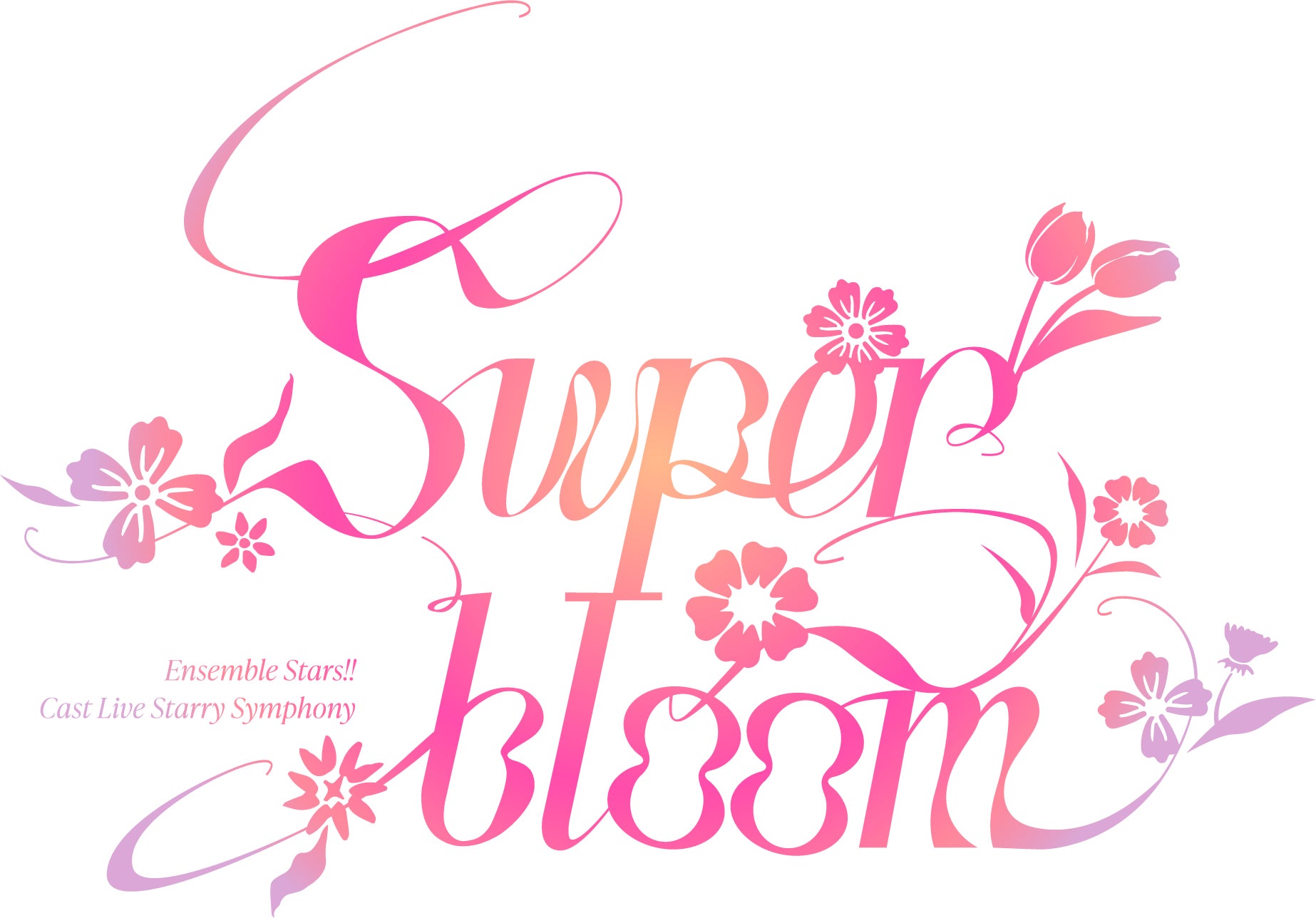 BIGHIT MUSICが日本8都市を巡る「2025 BIGHIT MUSIC JAPAN AUDITION」を開催！