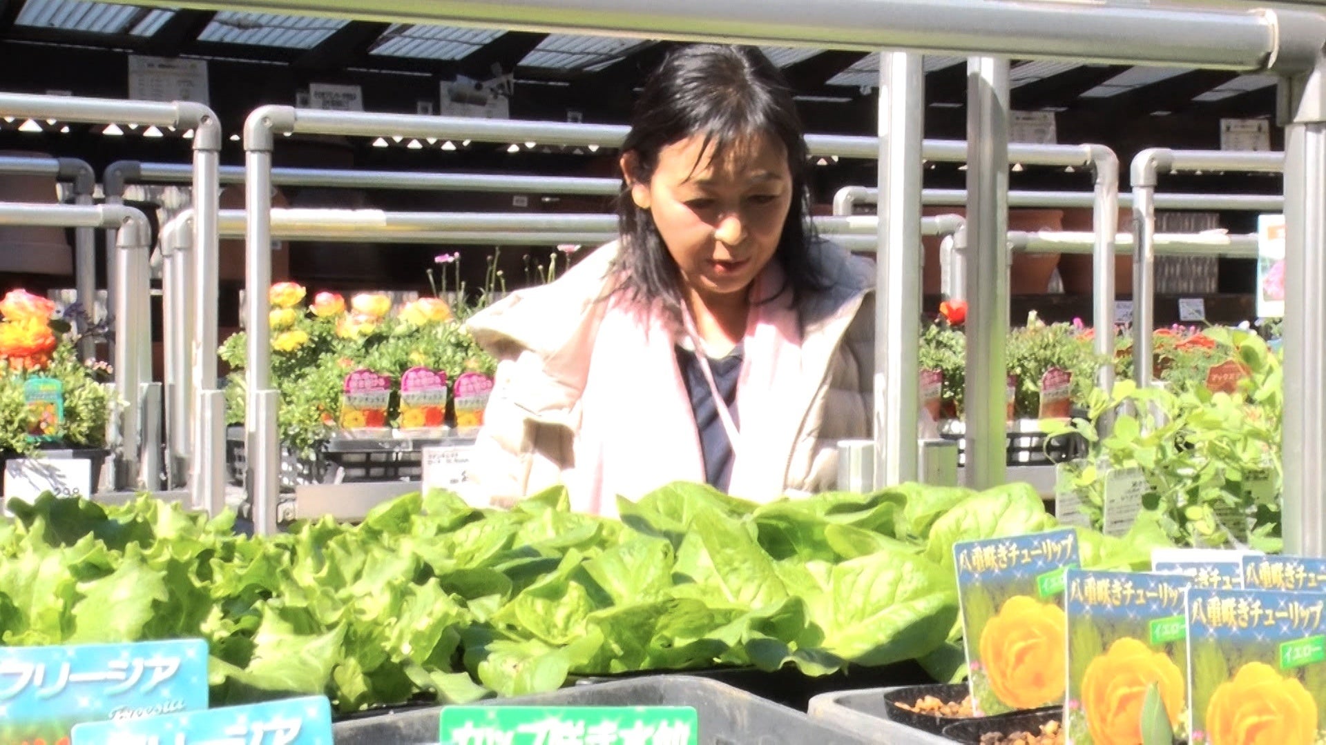 【国際音楽・ダンス・エンタテイメント専門学校】笑いで地域を元気に!吉本興業株式会社全面バックアップ学生ライブプロジェクト始動