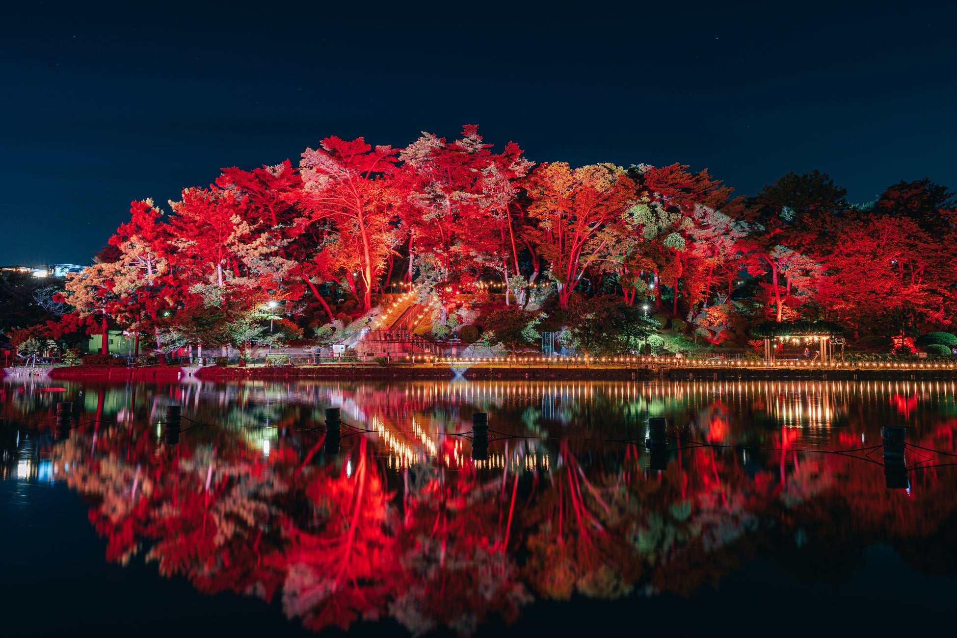 より正確な楽譜作成を短時間で実現する各機能を搭載 スタインバーグ ソフトウェア『Dorico Pro』『Dorico Elements』