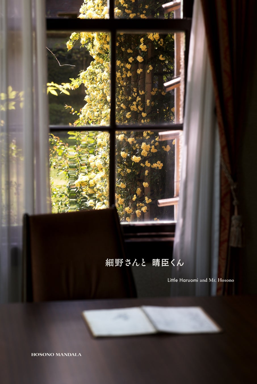 細野晴臣氏の企画展 『細野さんと晴臣くん』を開催