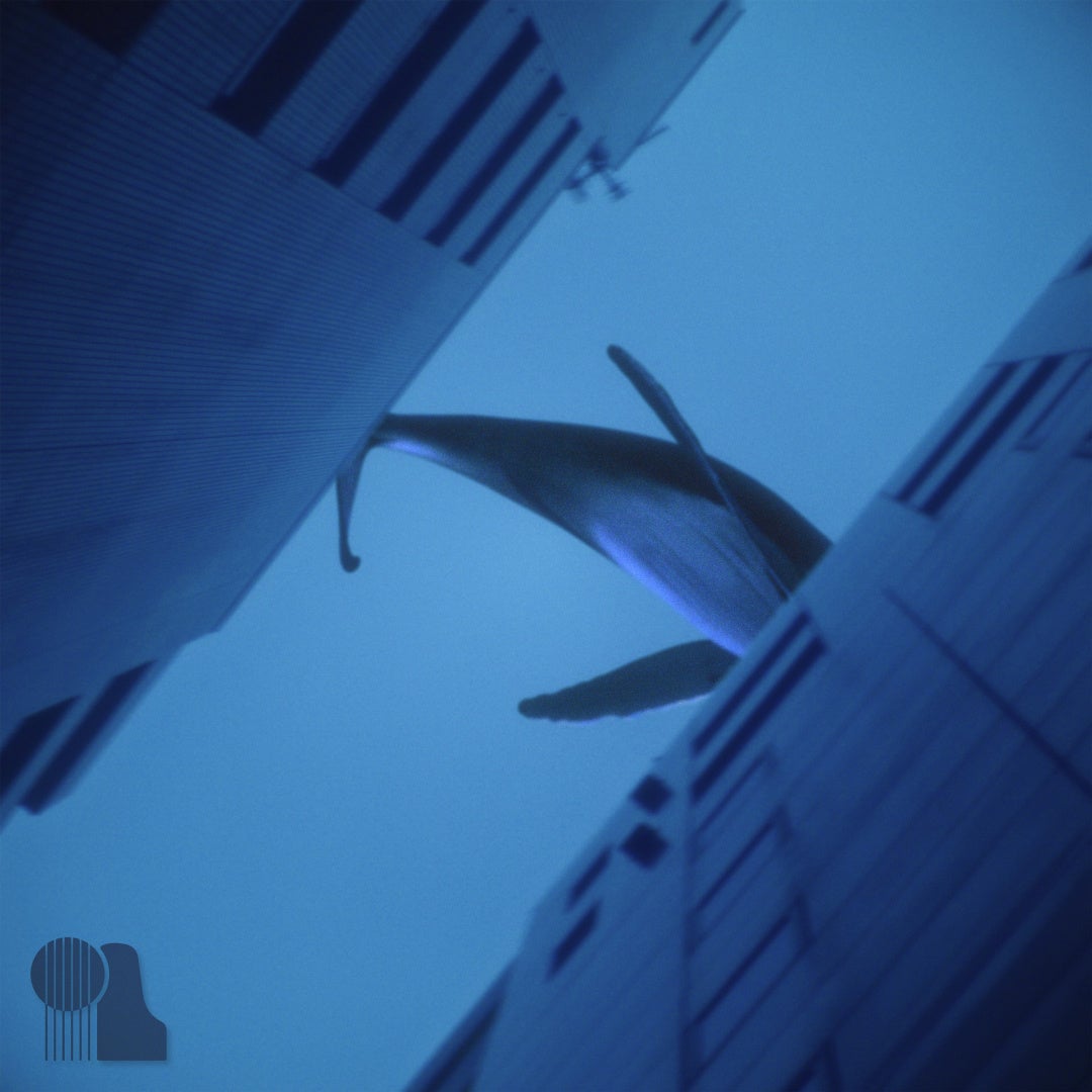 ナッジ、シンガーソングライター/ボカロPの「syudou」の公式クレジットカードを提供開始!