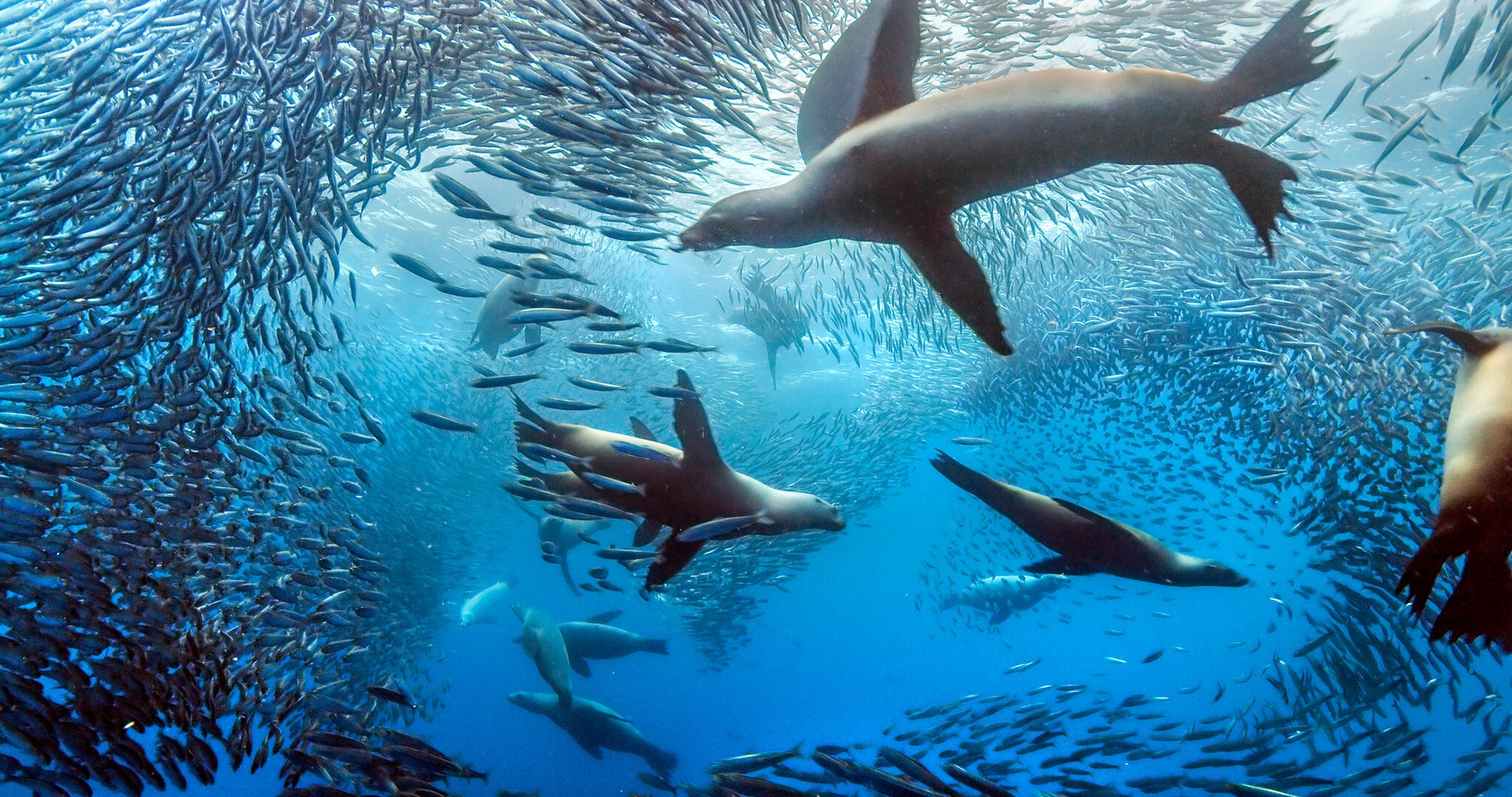 中山美穂の歌手デビュー40周年を記念した一日限りのライブ配信イベントをU-NEXTにて開催決定!