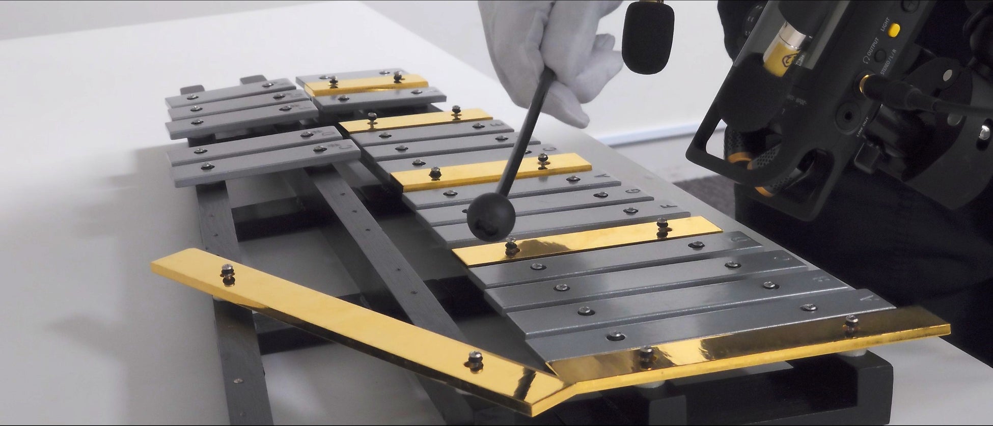 しまじろう英語コンサート2025 夏しまじろうとベイビーシャークが初コラボ!