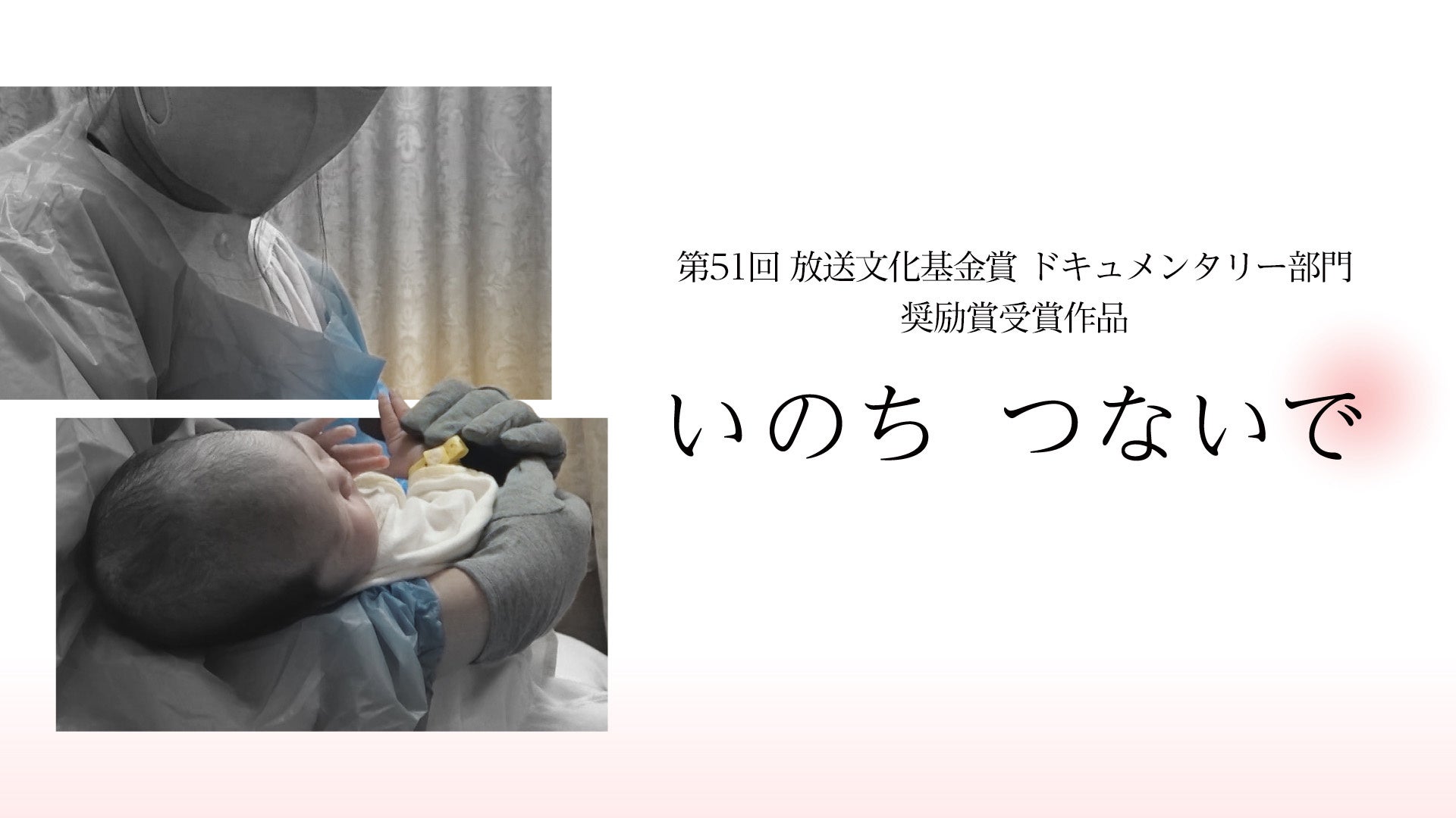 ココリコ田中の“サメ愛”が強すぎて東大研究員にスカウト⁉『東大吉本対話』第3弾はサメ研究の第一人者と濃密討論