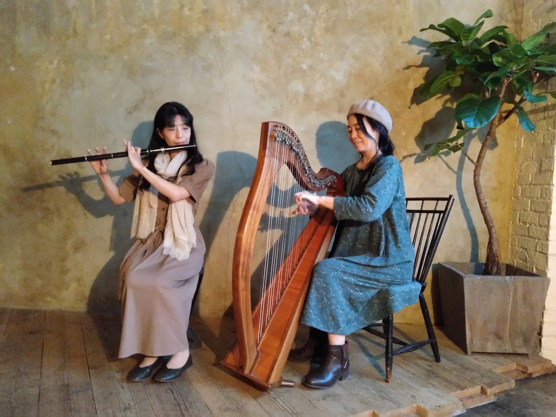 オリジナル朗読劇プロジェクト Aoharu Pallet 2025『BLUE&GREY』