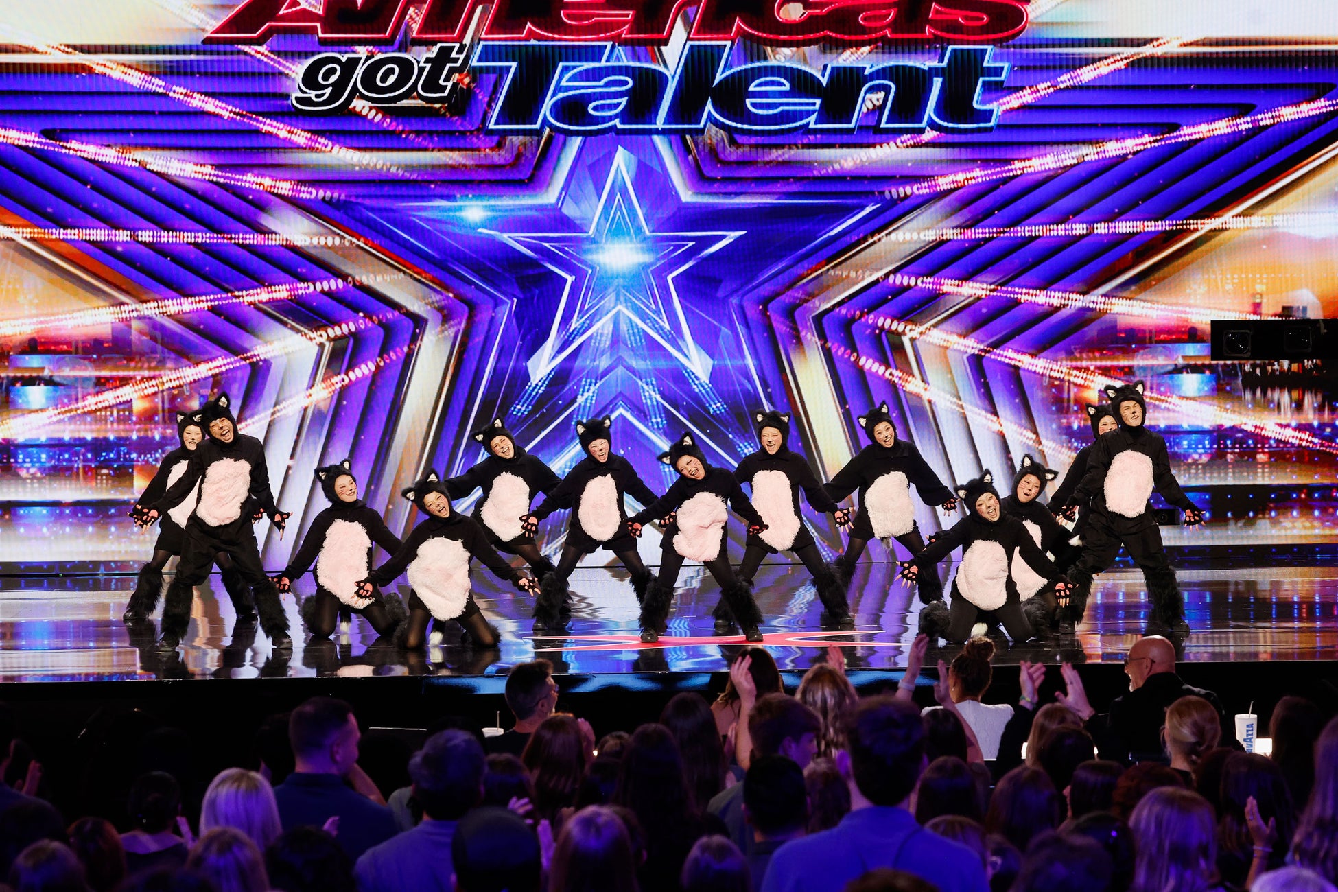 新婚のノブコブ・吉村が悩みをガチ相談！「“破天荒”と“結婚”の相性が悪い」／“結婚の挨拶に行っていない”エピソードが弱いと嘆く吉村の衝撃結婚秘話にスタジオ騒然！『しくじり先生』