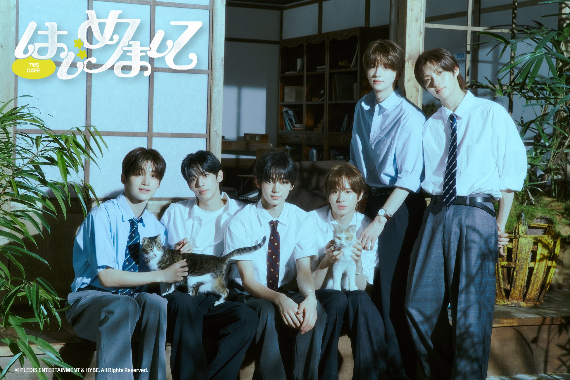 YouTube登録者270万人超のショートアニメ『混血のカレコレ』がカラオケまねきねこと初コラボ!