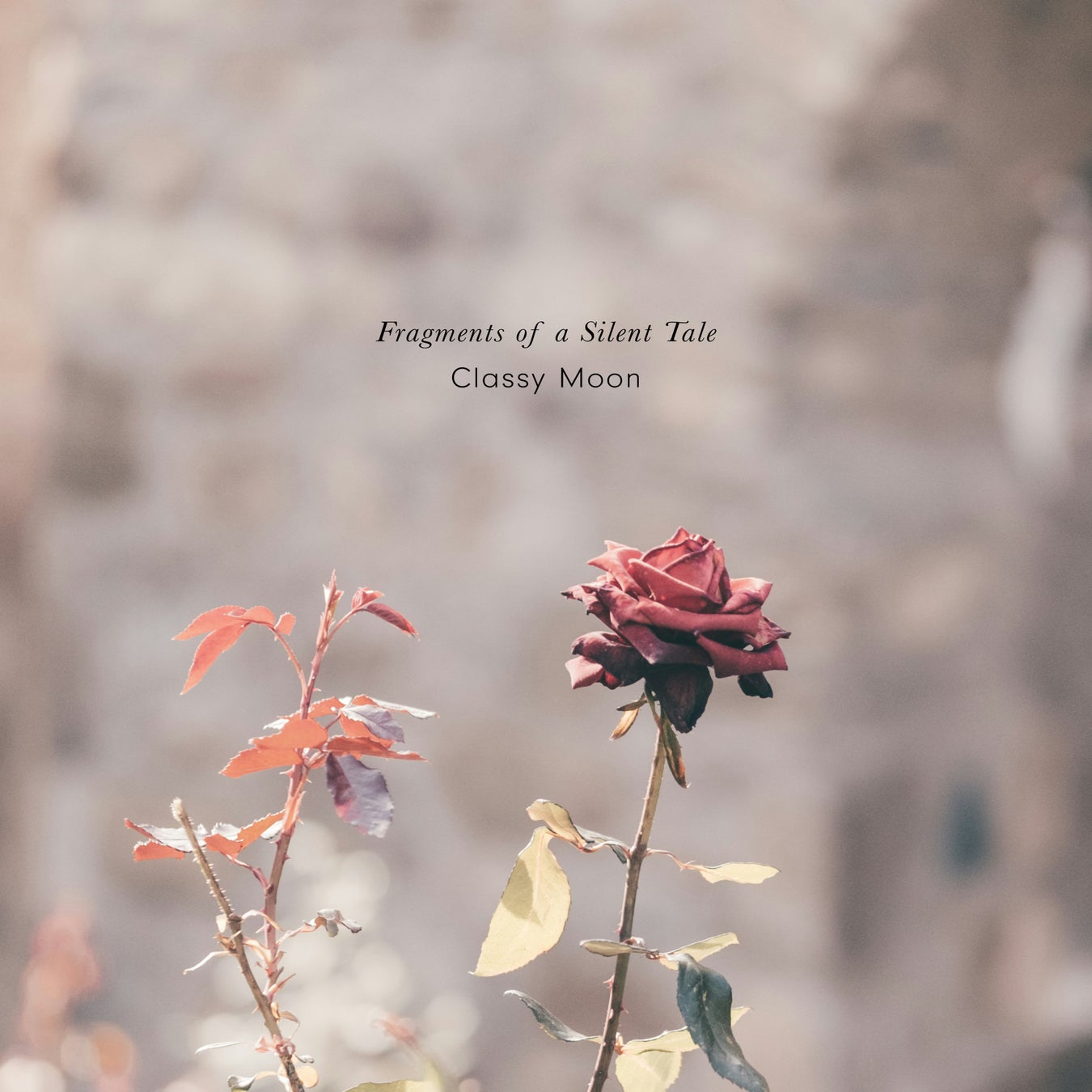 今年も稲川淳二、はじめました。「稲川淳二の超こわい話」シリーズ見放題配信決定　7月1日よりシリーズ計105話の配信スタート