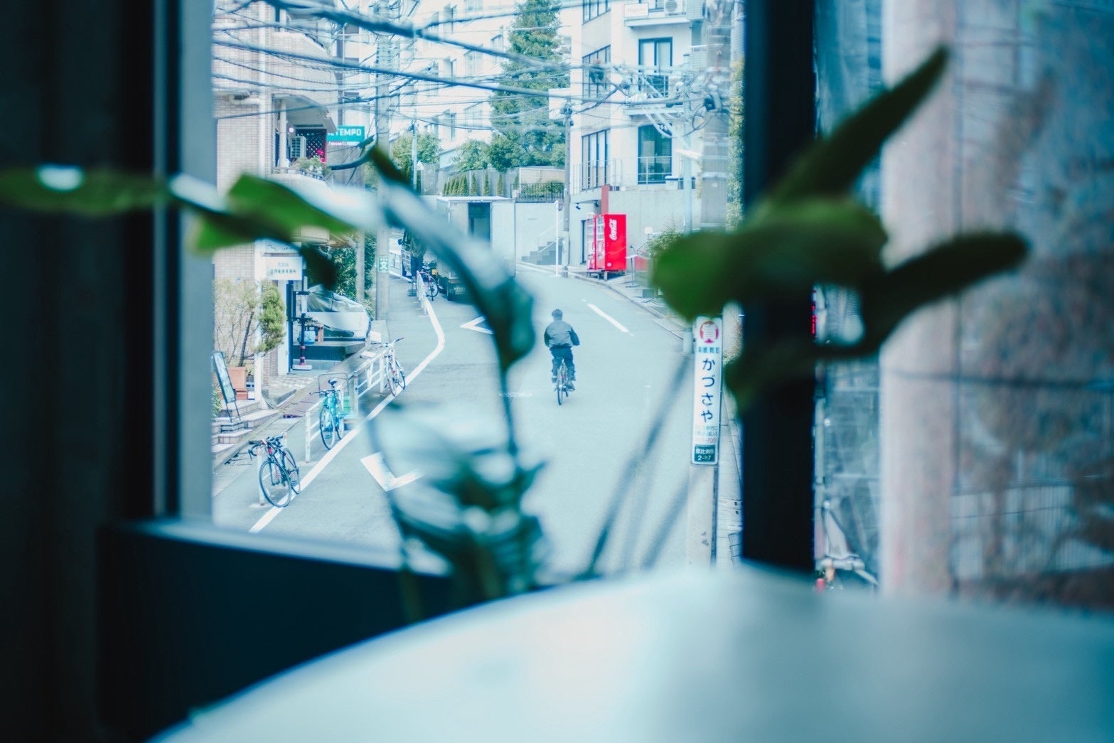 高校生No.1バンドを決める「高校生軽音グランプリ2025」優勝バンドはavexが運営するスタジオ、配信サービスでバックアップ!さらに大型ライブ出演も!