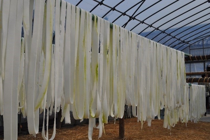 『あおぎり高校 ぽぷらーと』グッズが『viviON BLUE』にて受注販売開始！ 所属メンバー「ぷわぷわぽぷら」が手掛けるメンバーイラストがグッズ化！