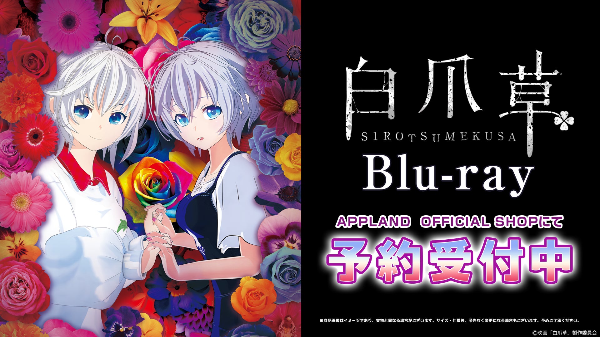 [サラダ音楽祭] 子どものためのオペラ『しろくまの王さま ヴァレモンの物語』演出家 菅尾友からのコメント到着！