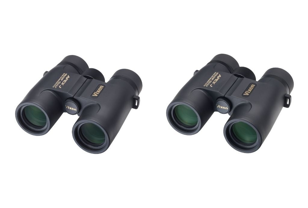 TOBEとハル学園が初のコラボレーション！株式会社HA-LUが手がけるショートドラマが始動