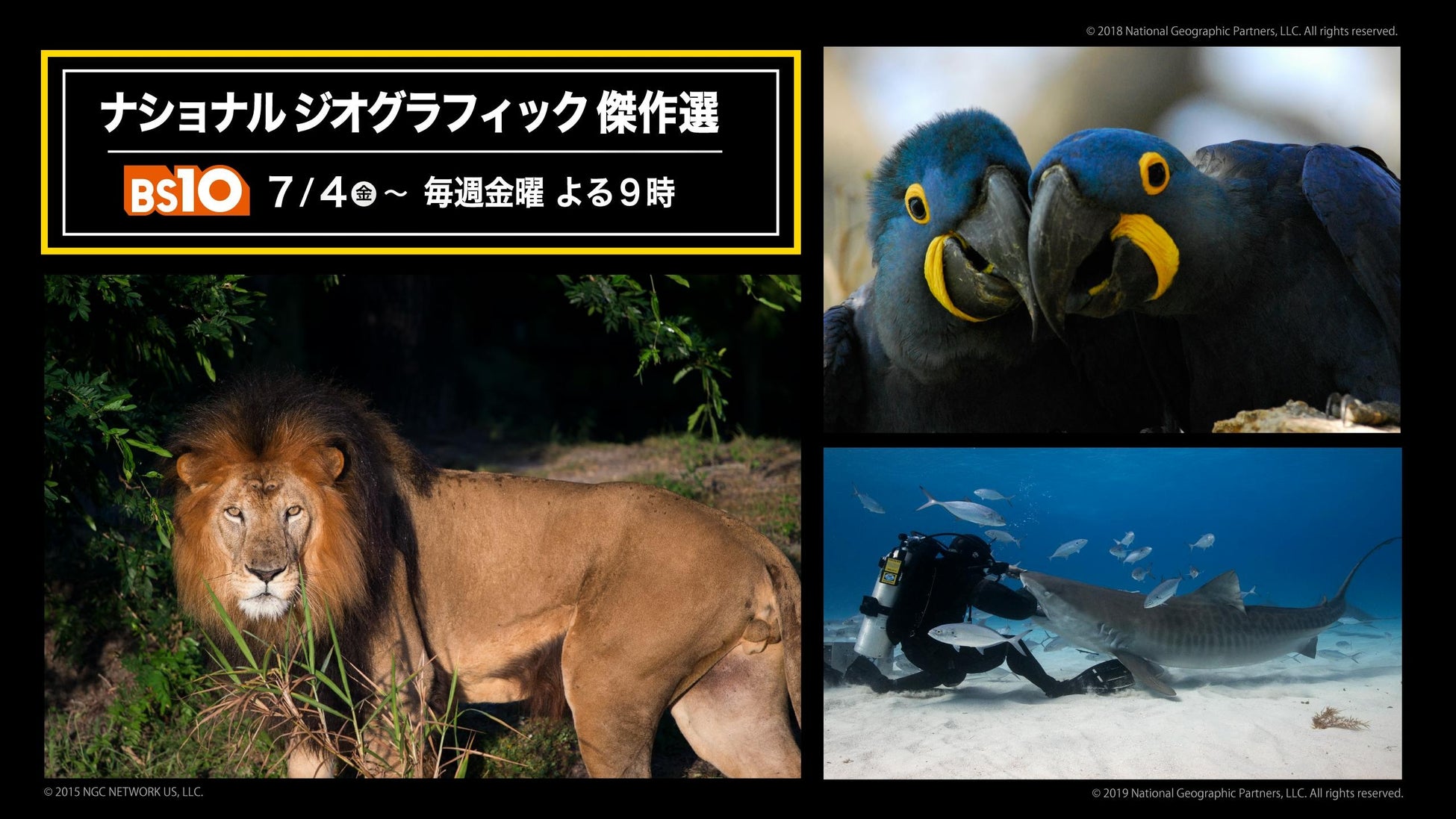 【ＢＳ日テレ】真夏の暑さをぶっ飛ばすＳＦ超大作「インデペンデンス・デイ」「デイ・アフター・トゥモロー」を7月6日、13日（日曜よる9時）の２週連続で放送！！