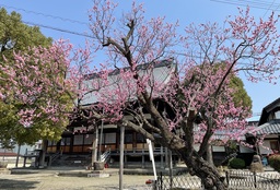 たたく！ならす！音と動きが舞うリズム！！世界53カ国1,500万人が大興奮の”体感”ショーが来日！『STOMP ストンプ』9/2（火）追加公演決定！