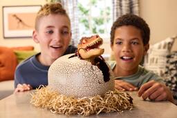 【JAF新潟】7年ぶりのポップサーカス新潟公演にてJAFデーを開催いたします