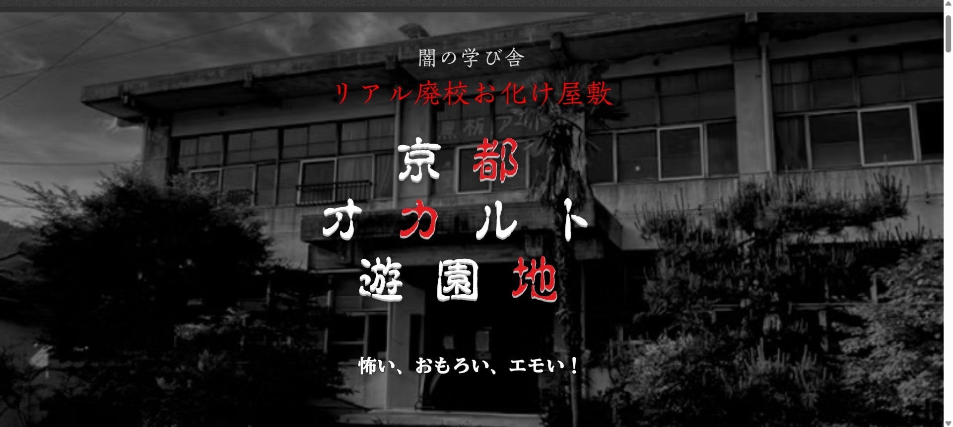 「タレントパワーランキング」2025年5月度調査(第2四半期)の総合 トップ10を発表!!