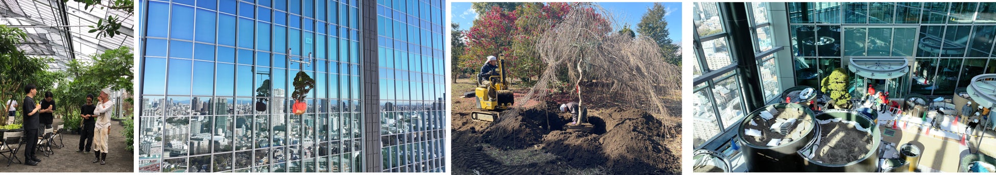 FUJI ROCK FESTIVAL’25｜ライブ配信決定！