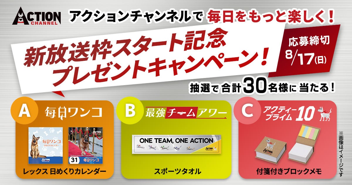 【大阪・堺】開催場所がついに解禁!「POOOL FESTIVAL Presented by MUSIC CIRCUS」会場は大阪・大浜公園プール!本日12時より前売りチケット販売開始!