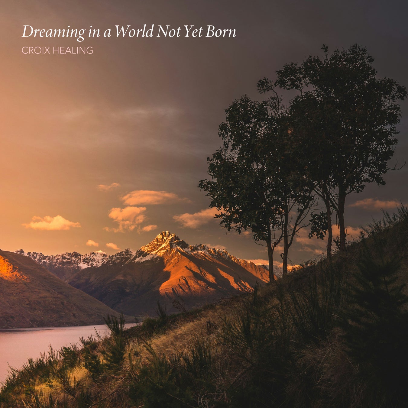 【参加募集/無料】Netflix協賛 「VIPO Film Lab」 国際プロデューサーコース(全10回:25年8月~12月)