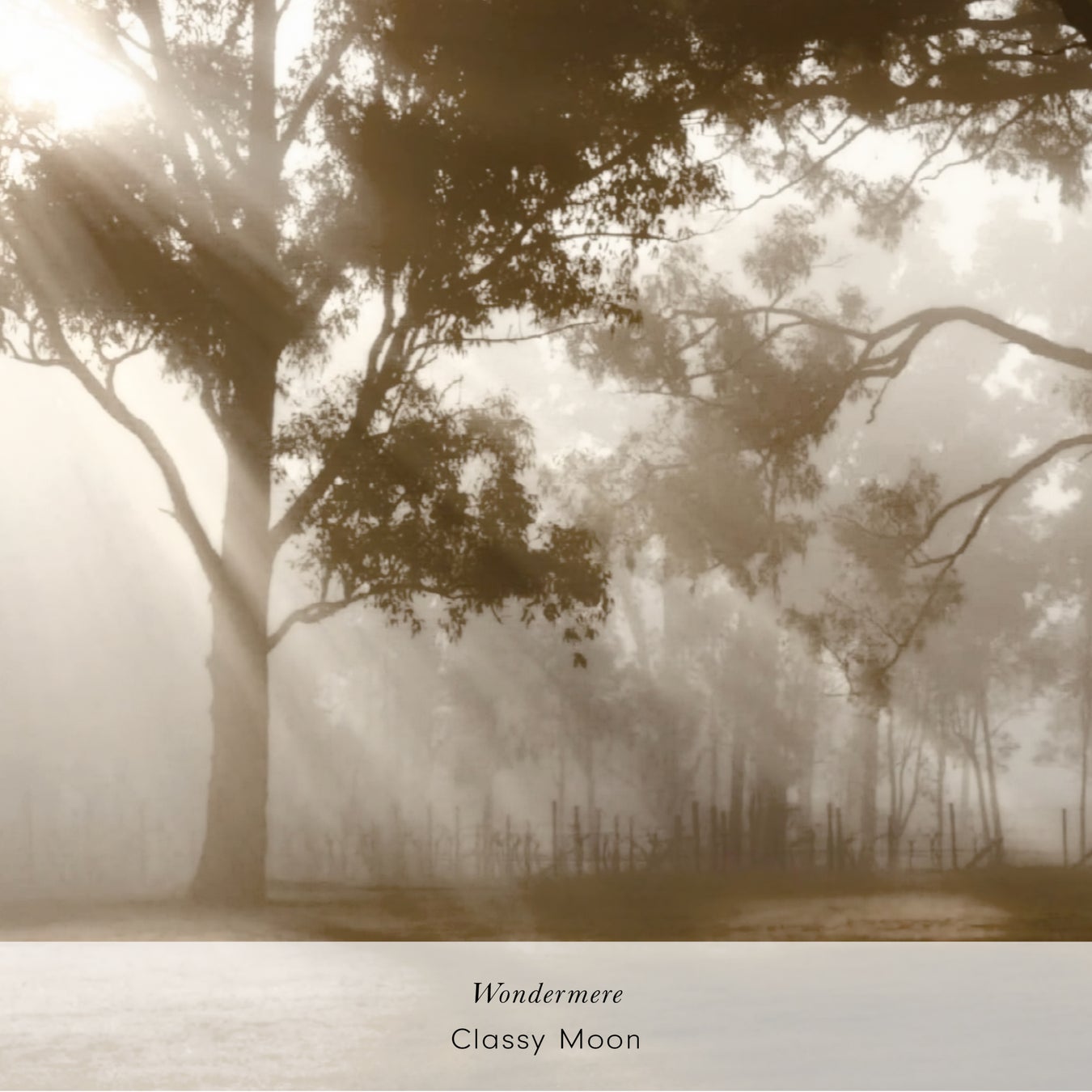 日本人初の快挙！The Uncalled Capitalが ブカレスト・インターナショナル・ジャズ・コンペティション2025 で優勝