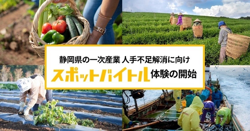 「櫻坂46特別１面新聞」東京ドーム周辺で7月24～26日発売