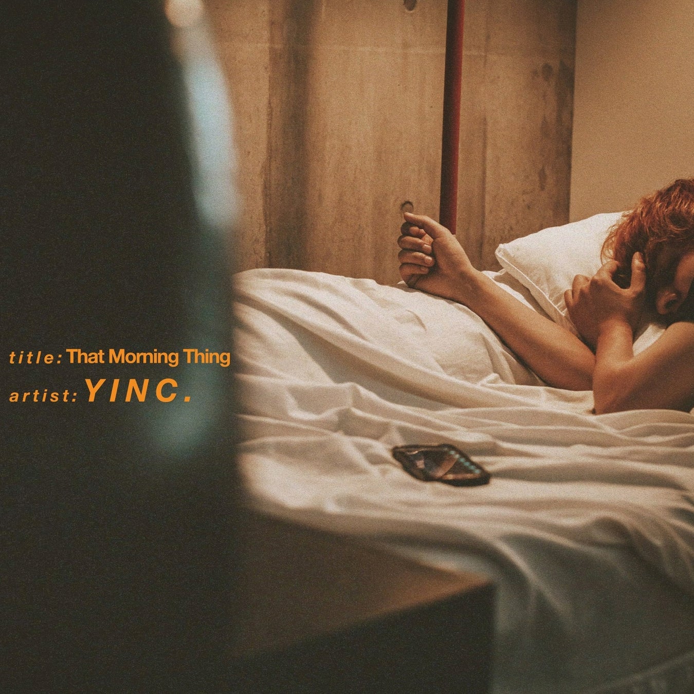 中国ドラマ「一念関山-Journey to Love-」DVD-BOX発売決定！