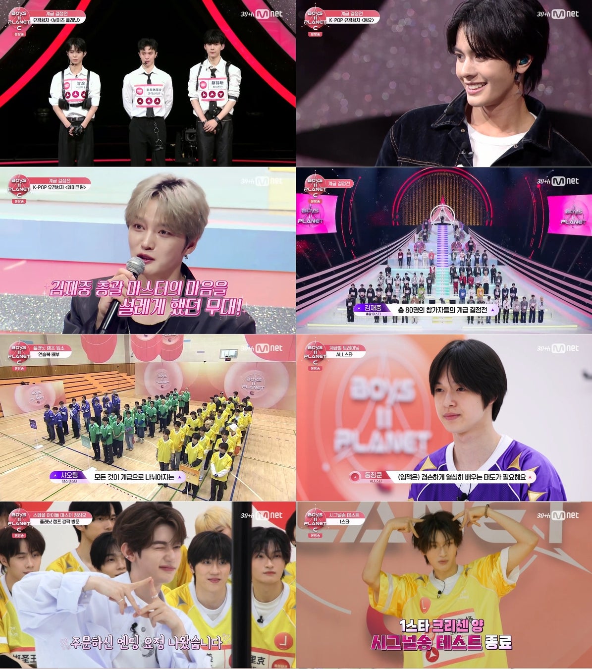 【サンエックス】株式会社SDR「しっぽず」所属記者発表会レポート　しっぽずがSDRに研究生として所属が決定！