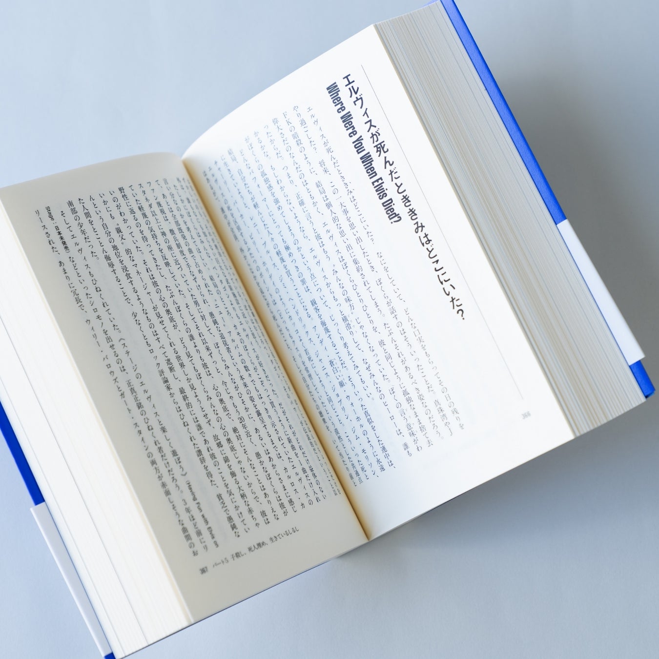 『NIRASAKI つながる ひろがる こそだてのWA！』にらちびフェスティバル2025