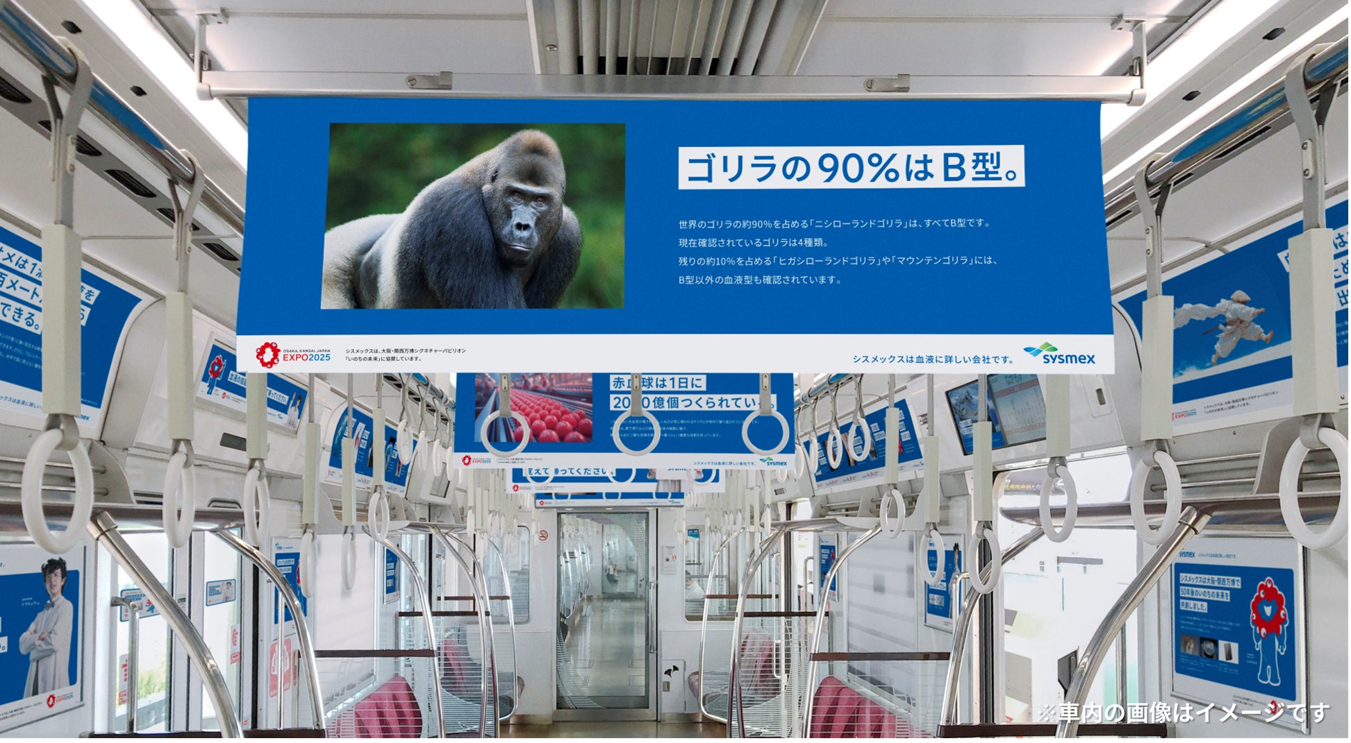 令和7年カムチャツカ半島付近の地震に伴う津波にかかる災害救助法の適用について（第1報～第3報）