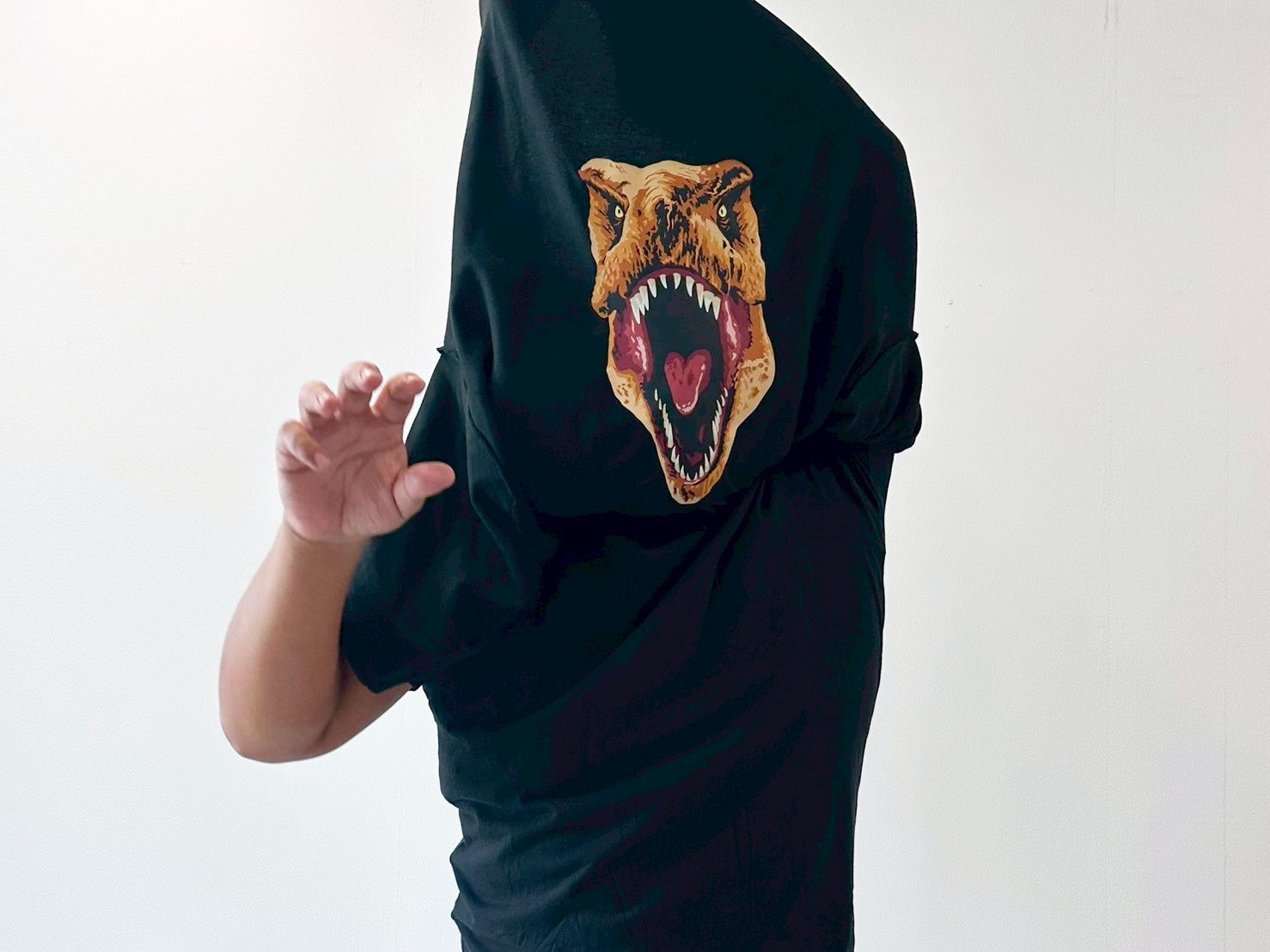 AKB48・乃木坂46・話題ゲーム主題歌 制作実績!ヒットメーカー河原嶺旭プロデュース、超大型ゲーム主題歌アーティスト募集オーディション開催!