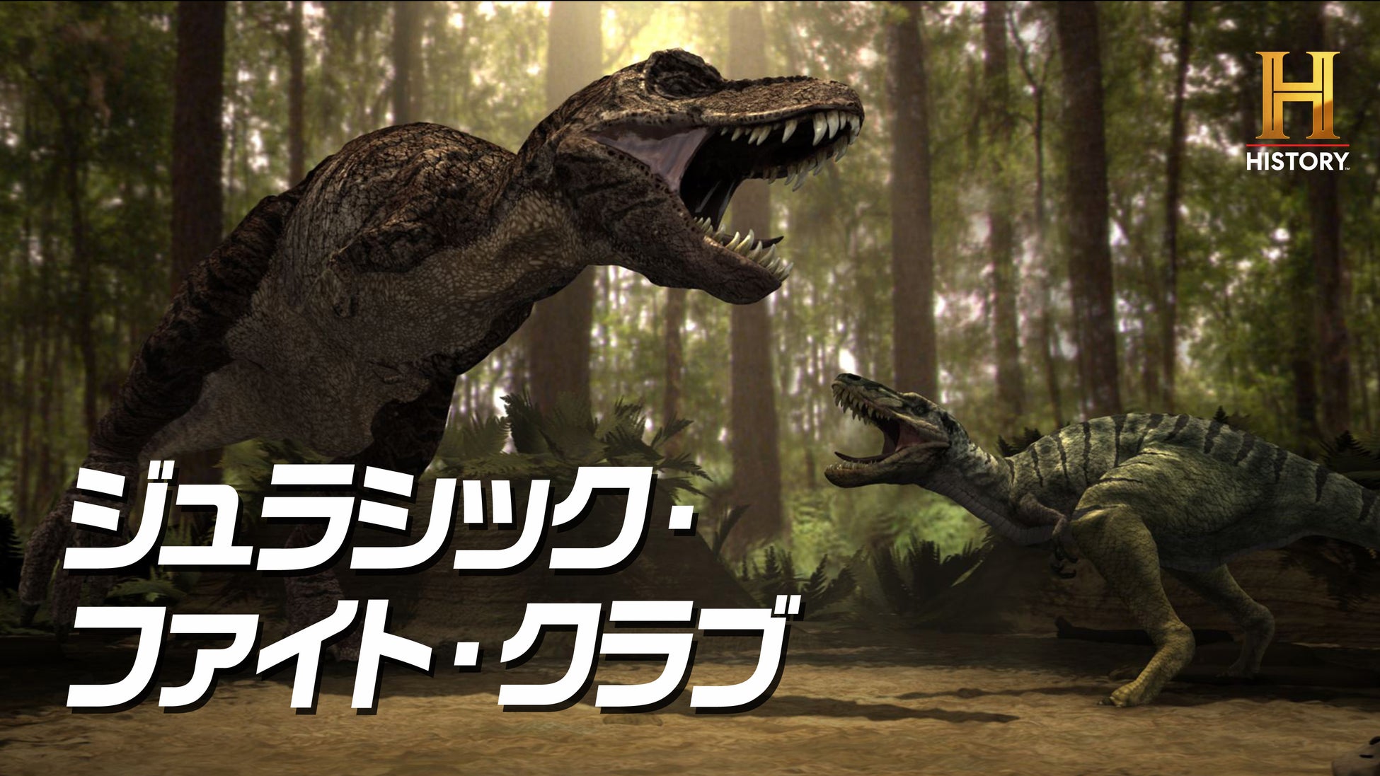 【日本初】ダンサーズキャリアサポート「DCS」が国際的キャリア支援ネットワーク「IOTPD」に加盟