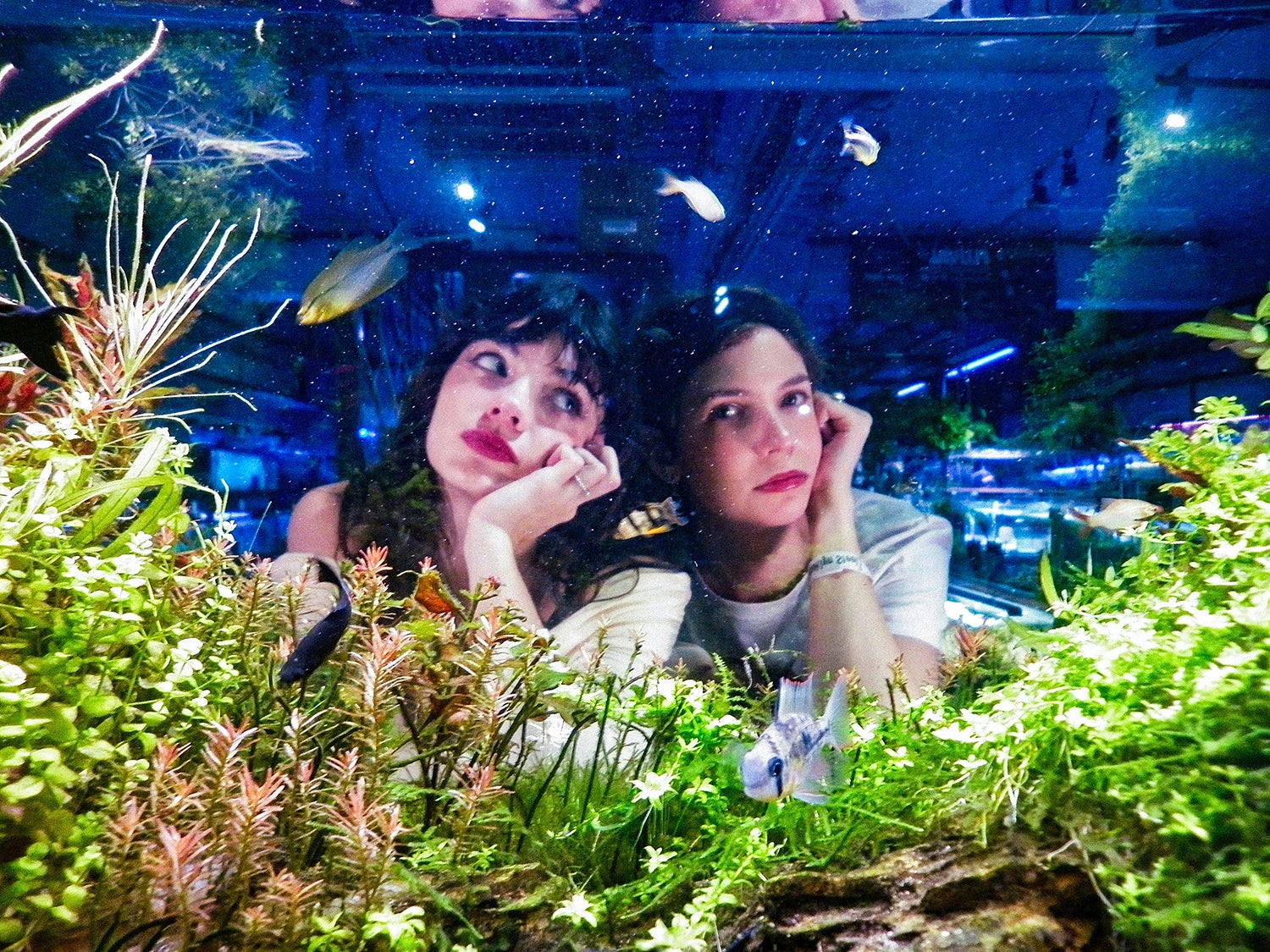 メッセンジャー黒田ゆかりの地、東大阪・布施のスナックで堀内孝雄があの名曲を熱唱!「その時が今、蘇った」