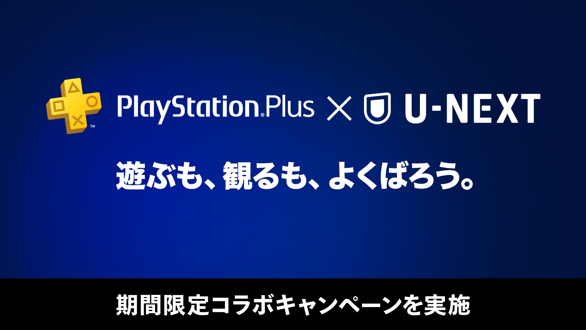 【TCIC Management Program】スペシャルセミナー「クリエイティブと法のあいだ：AI時代の映像制作を考える」を9月9日(火)に開催！