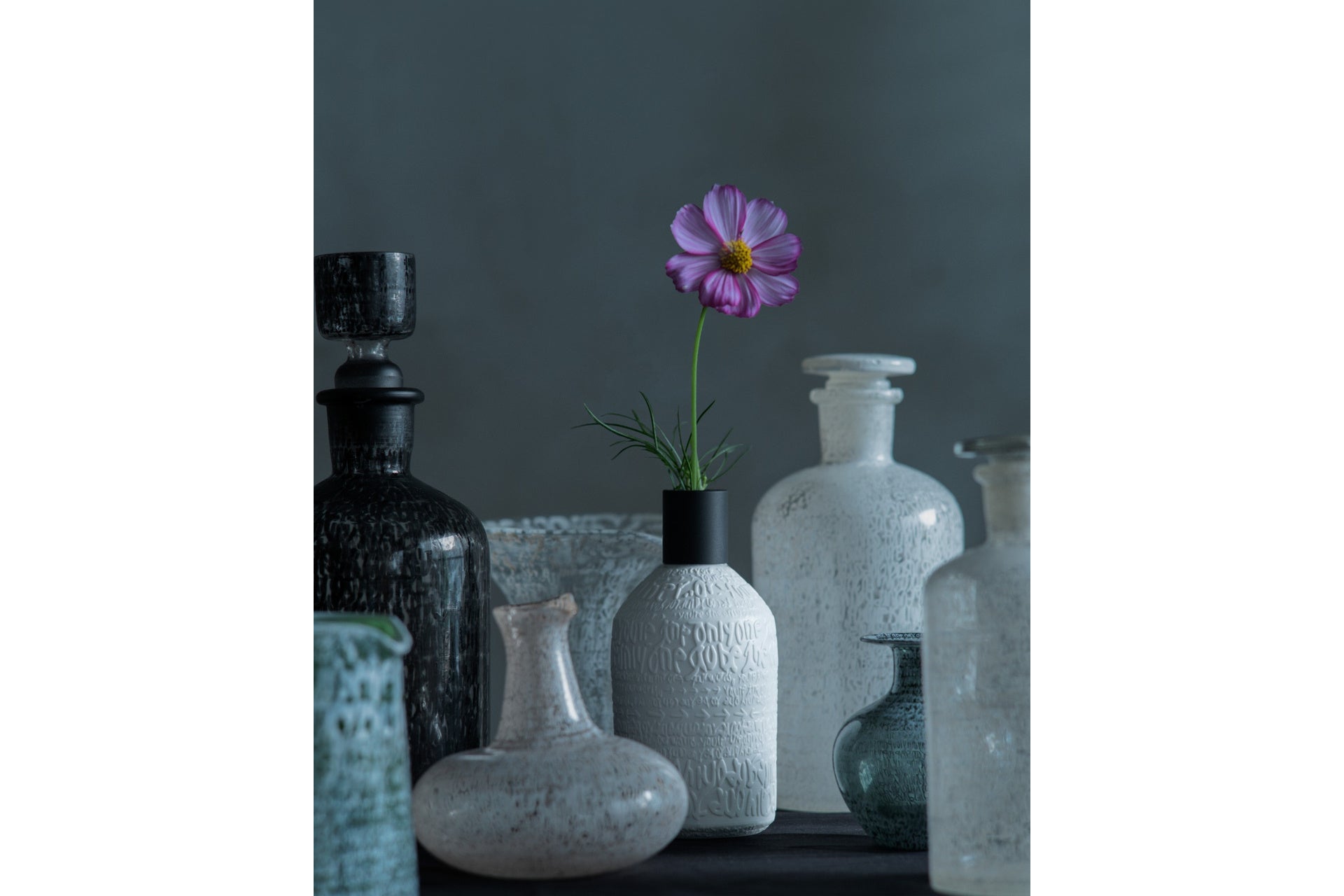 東京ドーム公演が決定した「LE SSERAFIM(ル セラフィム)」の限定プライズがナムコに登場 2025年8月22日(金)より順次展開開始!