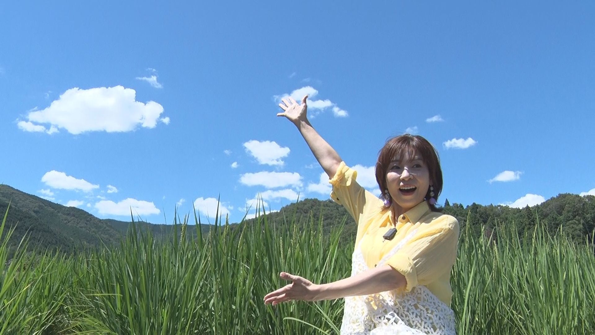 「ハーレムきゃんぷっ!」「しーくれっとみっしょん」などAnimeFestaオリジナル作品の人気エピソードをTOKYO MX、BS11にて再放送決定!