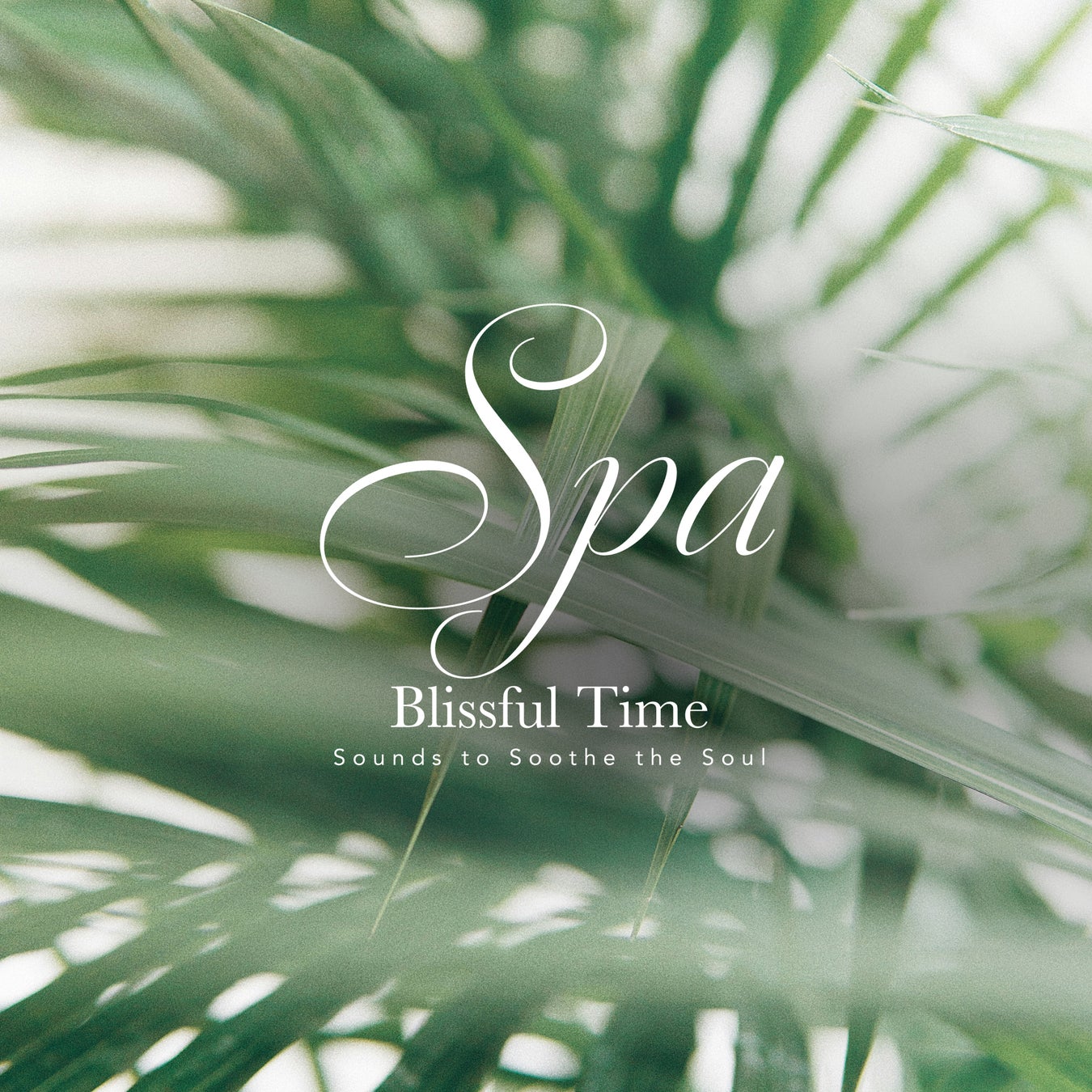 人生120年時代、明るく楽しくいきましょう!「DJ OSSHY」×「FLAMINGO」 コラボオリジナル商品のご案内