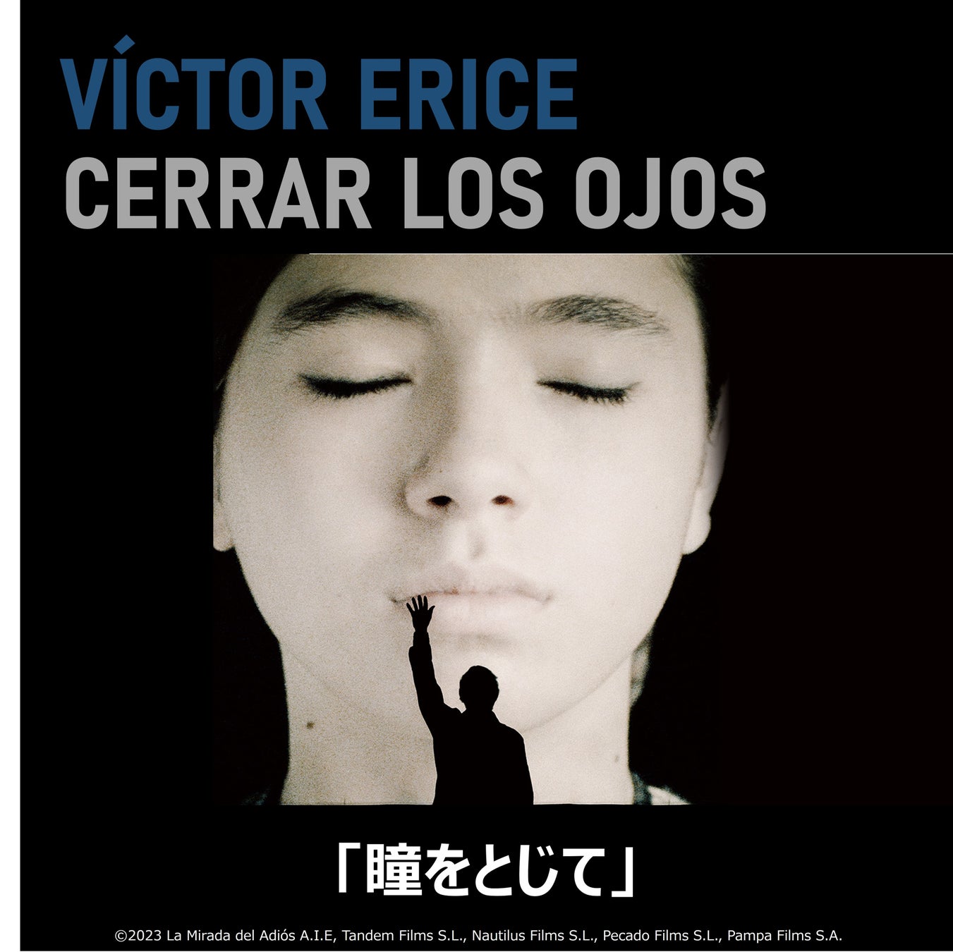 株式会社アナログ、新規Vライバー事務所を設立！