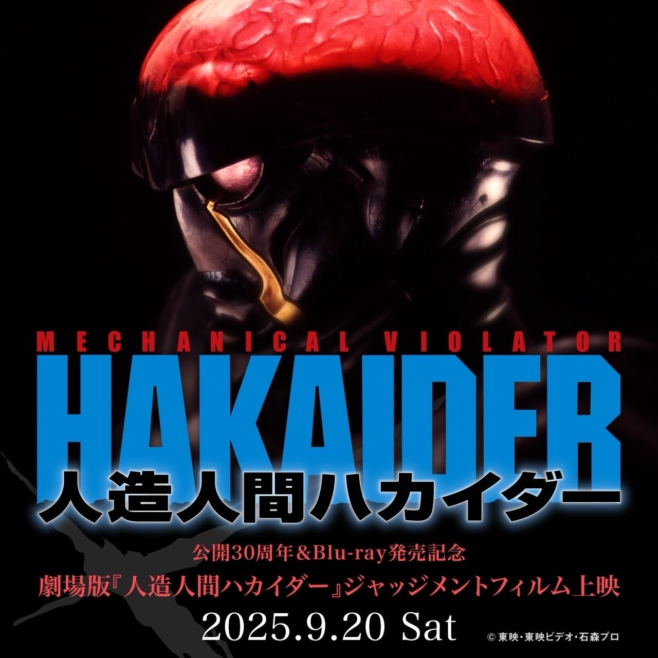 板野友美がディレクションを務めるライフスタイルブランド「Rosy luce」が「AnyMind Group」と戦略的パートナーシップを⽬的として、業務提携契約を締結