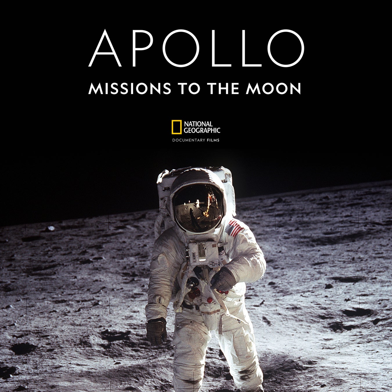 【葉山うみのホテル】10月19日、音楽イベント umi conexión “Hayamatic!” 2025開催