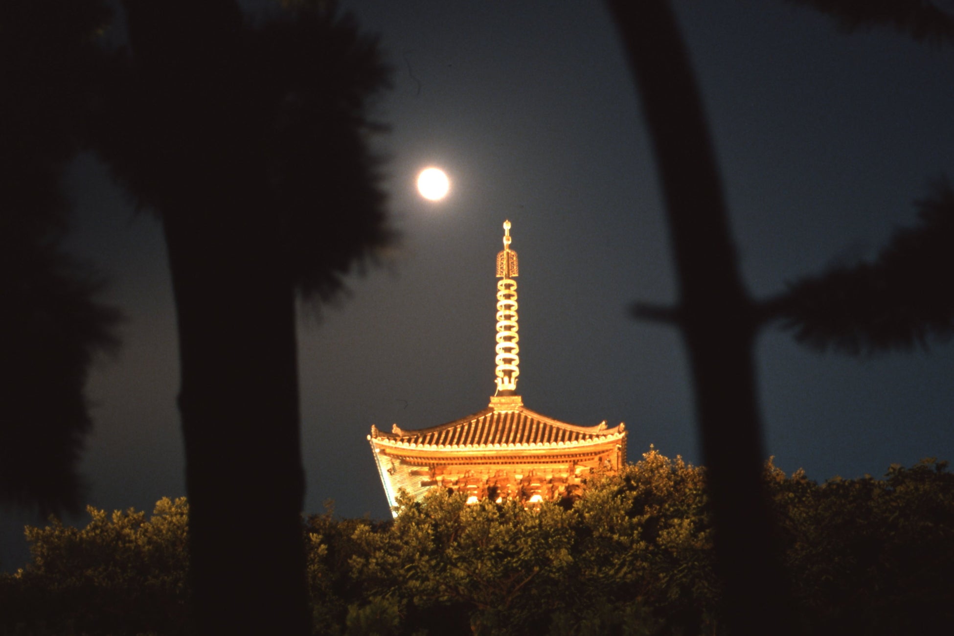 韓国俳優ナ・イヌ氏、日本発スキンケアブランド「étincellebeauté(エタンセルボーテ)」アンバサダーに就任!