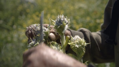 RAIDEN RACING所属・橋本勇希選手、テレビ番組『チャンハウス』に出演決定!