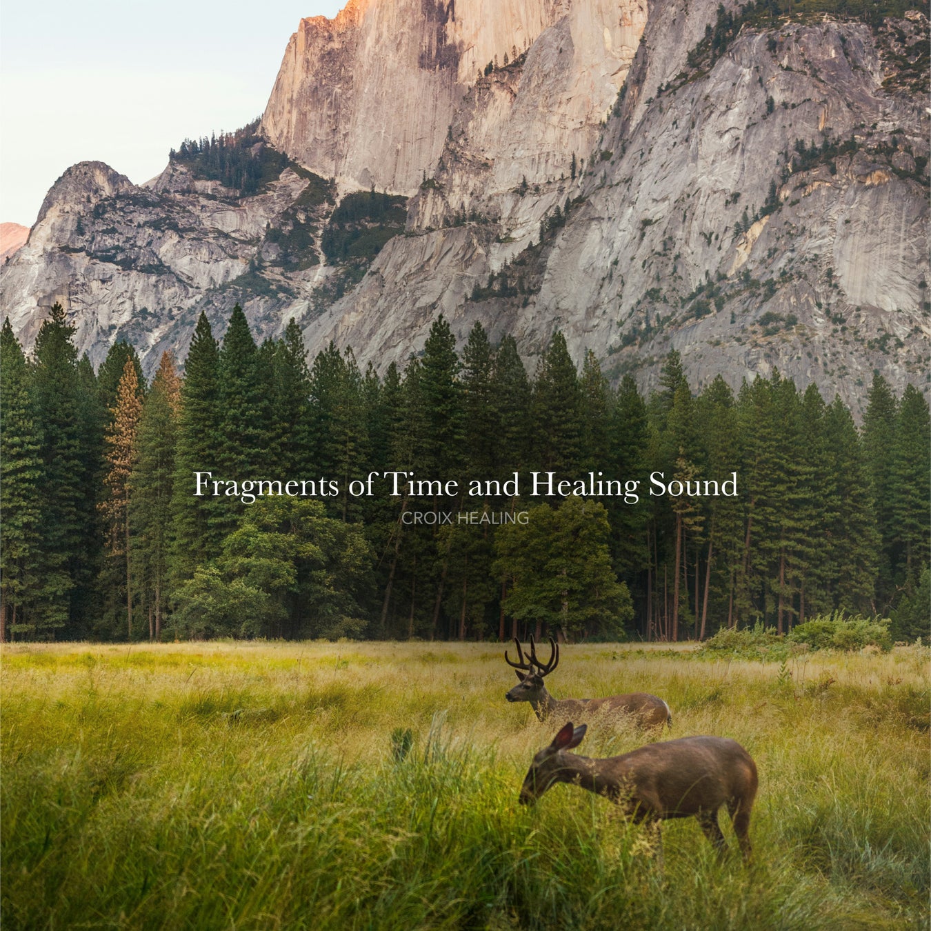 SEVENTEENキャラクター「MINITEEN（ミニティーン）」公式ライセンスグッズ、HMV&BOOKS onlineにて発売